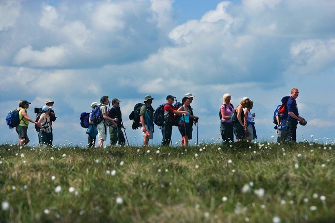 1/2 Day Pilgrim's Walk on St Patrick's Way and Lunch - Saul Church and the meaning of a thin place