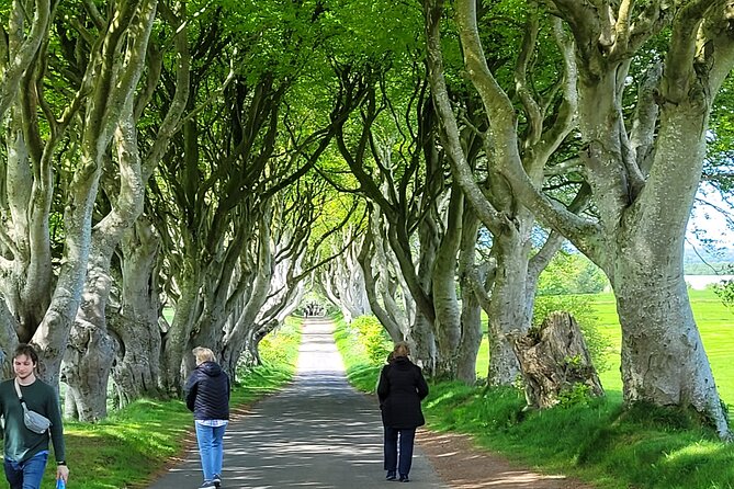 4 Hours Private Belfast City Tours - Belfast Castle brings a change of mood