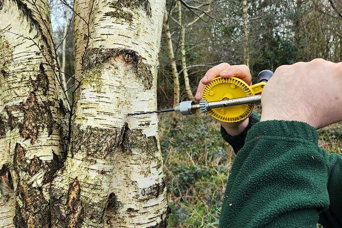 Adult Foraging Walk & Bushcraft Cookery Course for Beginners - Key points at a glance