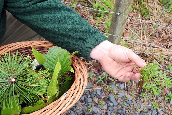 Adult Foraging Walk & Bushcraft Cookery Course for Beginners - Is $88.24 per person good value?
