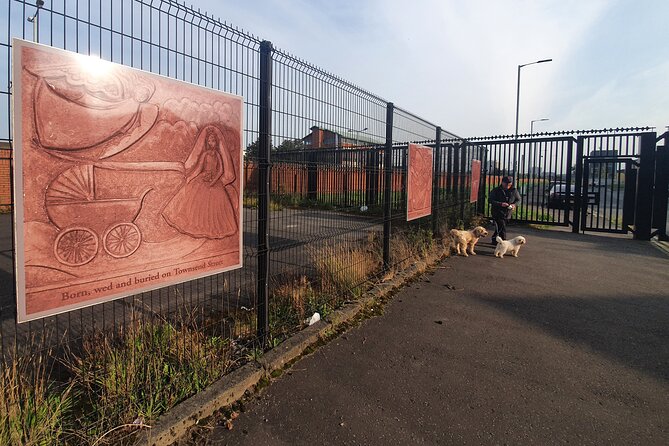 Belfast Cab Tour of Peacewalls, Murals and the Famous Titanic Slips - Belfast Castle and lunch above the city