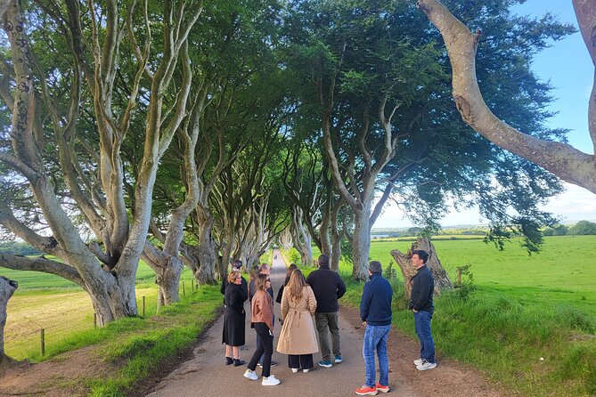 Belfast & Giants Causeway Luxury Mercedes Private Tour for 6 pax - The driver can make or break the experience
