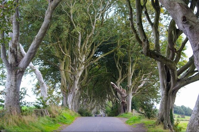 Experience the Antrim Coast and the Land of Giants - Private Tour - The coastal road is part of the experience