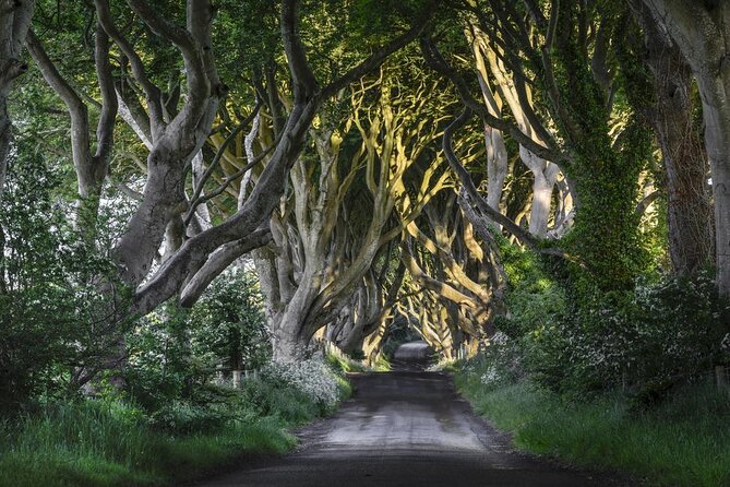 From Belfast-Giants Causeway, Dunluce Castle and Dark Hedges tour - Key points at a glance