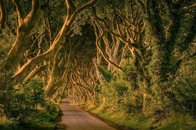 From Belfast-Giants Causeway, Dunluce Castle and Dark Hedges tour - The Giant’s Causeway is the main event