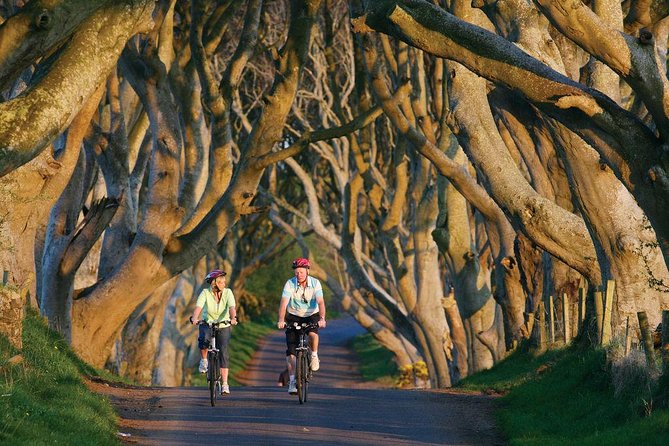 From Belfast-Giants Causeway, Dunluce Castle and Dark Hedges tour - Group size, food, and physical effort