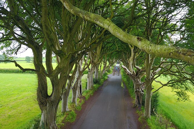 Full-Day Private Giant's Causeway Experience - Carrick-a-Rede Rope Bridge: dramatic, but not for everyone