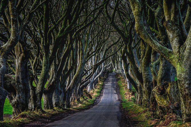 Full-Day Private Tour of Giants Causeway with Pick Up - The road time shapes the whole day