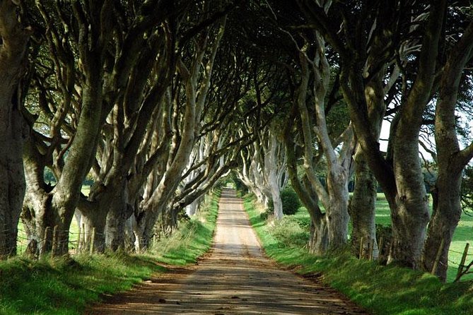 Game of Thrones and Giant's Causeway Day Tour from Belfast - Why this Belfast day trip works
