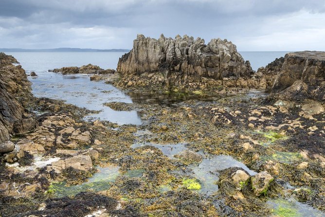 Game of Thrones and Giant's Causeway Full-Day Tour from Belfast - Leaving Belfast for Carrickfergus Castle