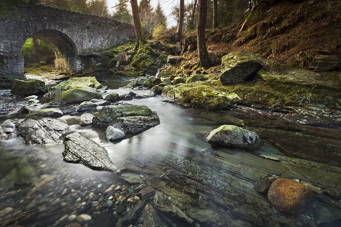 Game of Thrones - Tollymore Forest Trek - The bridge and the Stark direwolf discovery