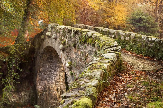 Game of Thrones - Tollymore Forest Trek - What the small group adds