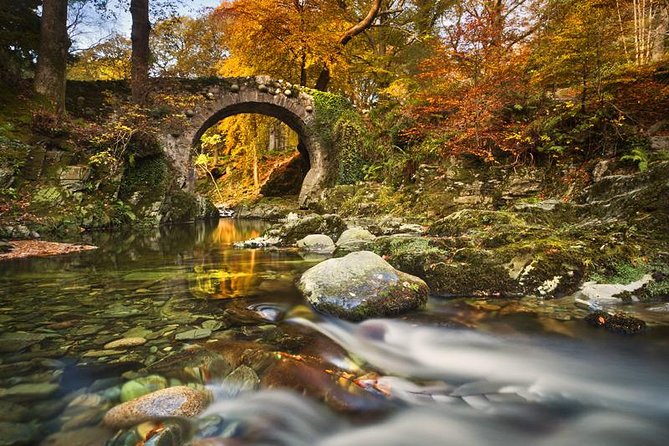 Game of Thrones - Tollymore Forest Trek - Who should book this forest trek?