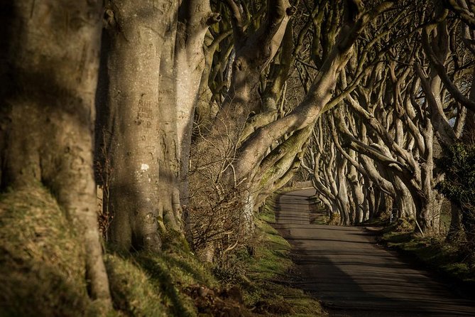 Giant's Causeway and more including Titanic Experience Ticket Tour from Belfast - Starting in Belfast with a full coach day ahead