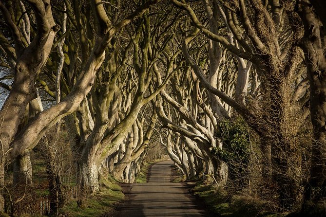 Giant's Causeway and Whisky Distillery tasting tour from Belfast - A full day from Belfast to the north coast