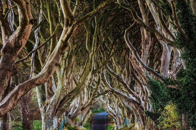 Giant's Causeway Full Day Tour from Belfast - Causeway Coast views toward Rathlin and Scotland