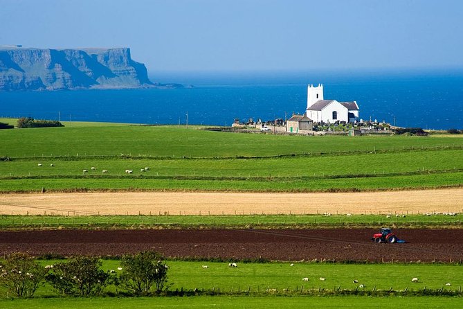 Giant's Causeway Full Day Tour from Belfast - One hour and 30 minutes at the Giant’s Causeway