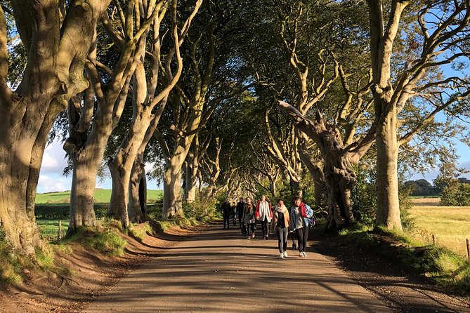 Giants Causeway, Rope Bridge, Carrickfergus Castle and Dark Hedges Tour - Dunluce Castle is often a five-minute photo stop