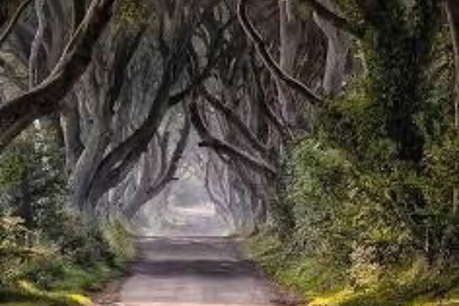Giants Causeway Tour From Belfast including Game of thrones sites - Why this private Belfast tour works