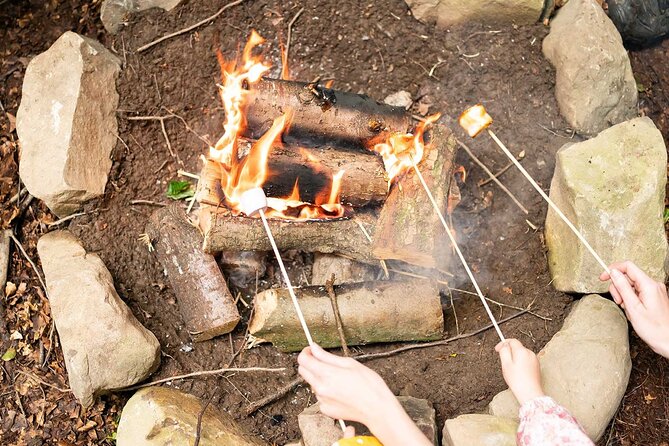 Muddy Tots Go Wild Forest School Ballynahinch County Down - The lower trail and pond search