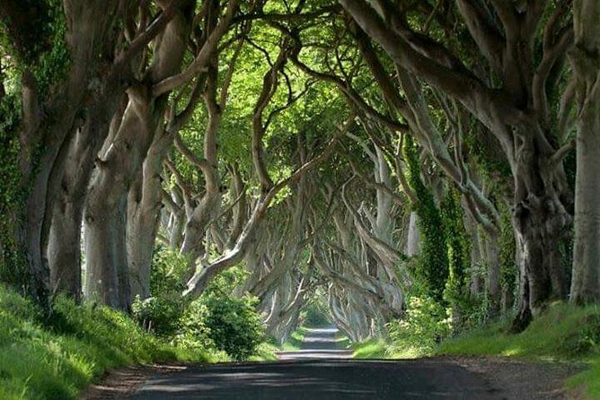Private Game of Thrones including Giant's Causeway Causeway Coast Rope Bridge - Five details that shape the day