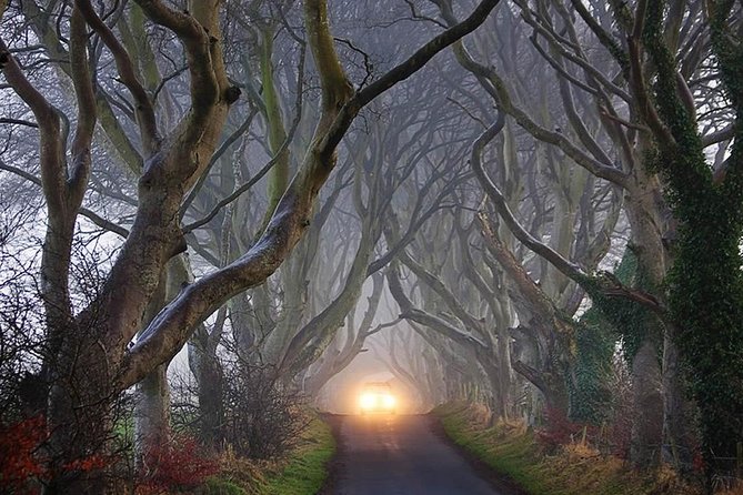 Private Game of Thrones including Giant's Causeway Causeway Coast Rope Bridge - Dunseverick Castle for a quieter coastal pause