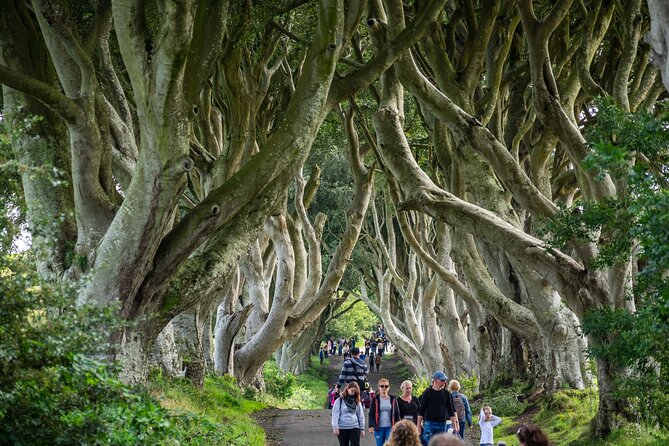 Private Giants Causeway Tour From Belfast - Carnlough Harbour and the first comfort break