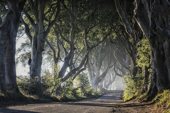 Private Tour - Causeway, Castles & Whiskey Tour - Game of Thrones - Torr Head brings the open coast