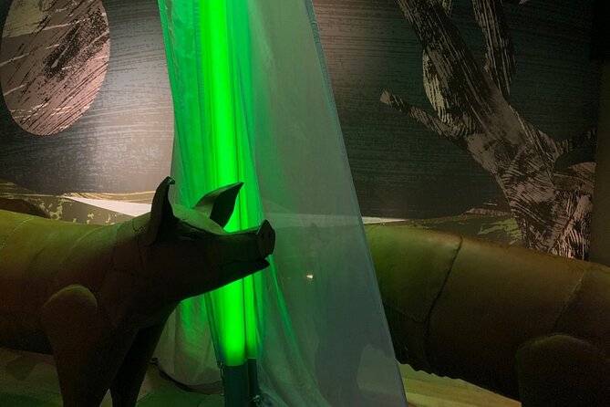 Saint Patrick Centre Exhibition experience - Who will enjoy the one-hour visit most?