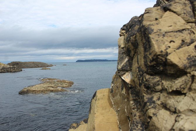 Small Group Giant's Causeway Day Tour from Belfast - Carrick-a-Rede Rope Bridge: the day’s active option